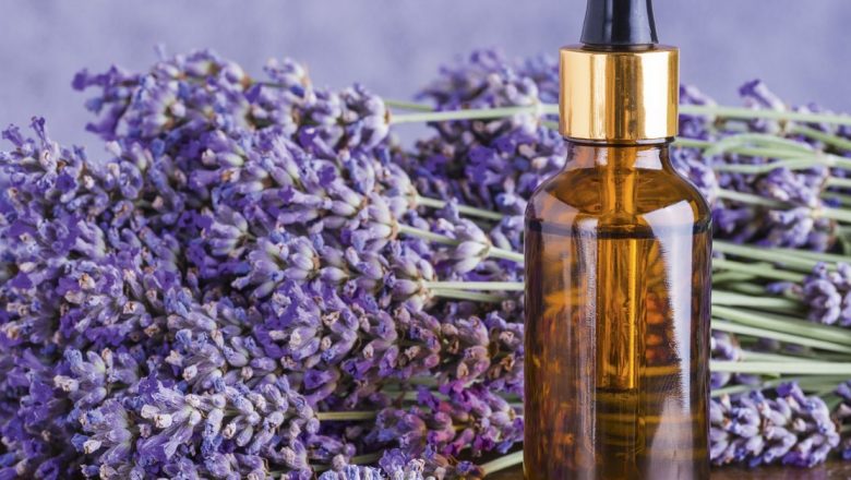 Levănțica: Plantele Aromate Care Transformă Starea de Spirit și Sănătatea