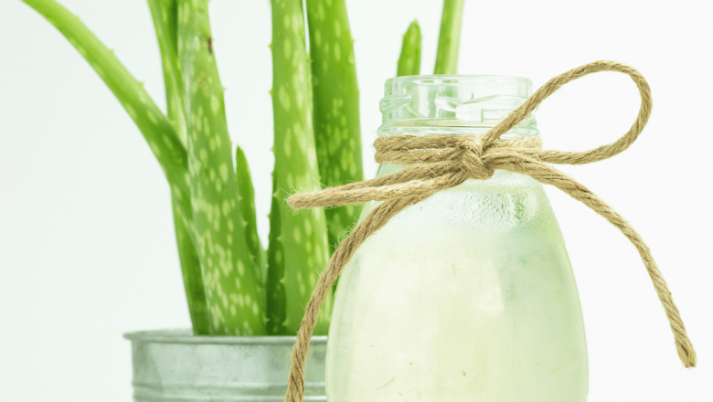 Sucul de Aloe Vera: Beneficii, Utilizări și Precauții pentru Sănătate