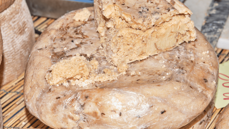 Casu Marzu: Delicatesa din Sardinia care Întoarce Stomacul pe Dos