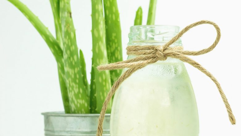 Aloe Vera: Beneficiile Sucului și Impactul Asupra Sănătății