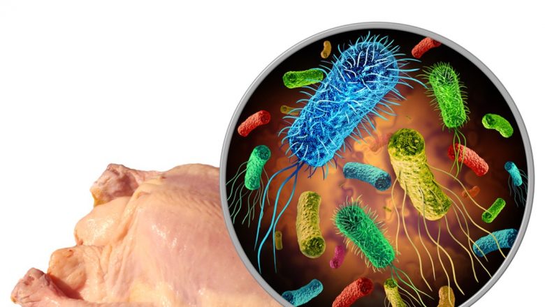 Atenție la Salmonella: Tot ce trebuie să știi despre infecția cu Salmonella și cum să te protejezi