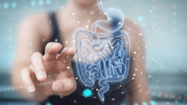 Microbiomul intestinal: Cheia sănătății noastre și a bolilor viitorului