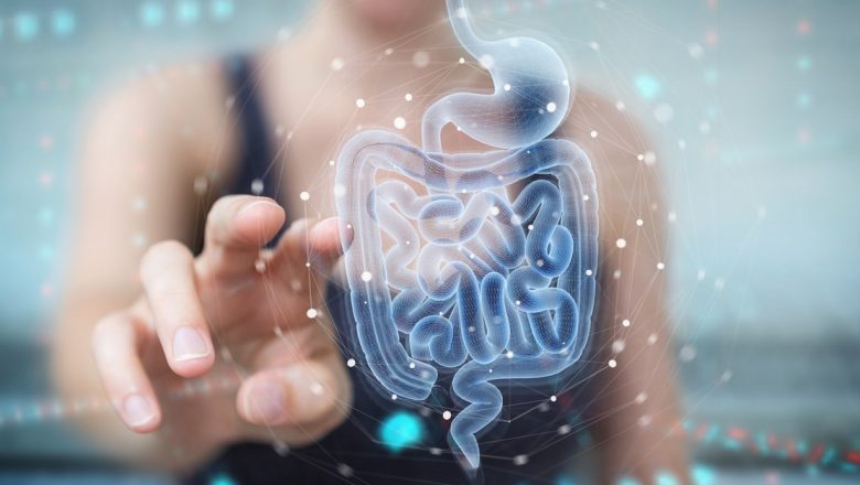 Microbiomul intestinal: cheia sănătății și bolilor – Analiza detaliată a rolului acestuia în organism