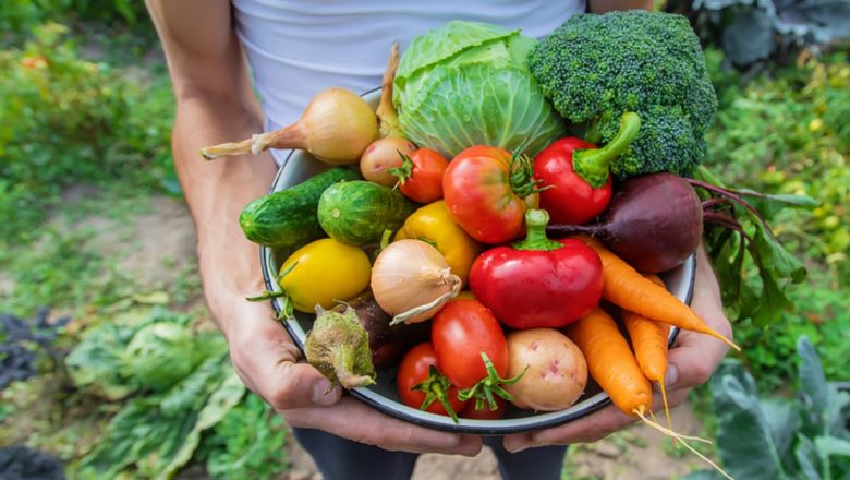 Hidratarea prin Alimentație: 10 Alimente Esențiale pentru o Viață Sănătoasă