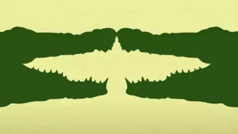 Cum ne influențează amintirile percepția asupra realității: O analiză a iluziei optice a crocodililor și vulturului