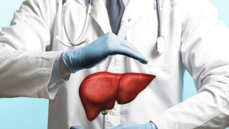 Greutatea Organismului Uman: Analiza Detaliată a Organelor Interne și Impactul Asupra Sănătății
