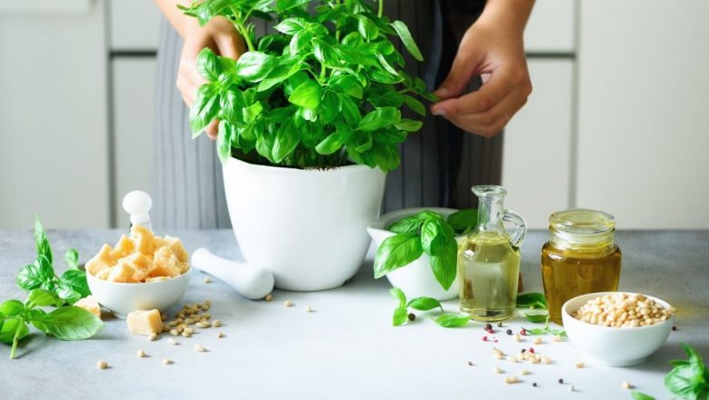Beneficiile și tehnicile de cultivare a plantelor aromatice în apartamente: ghid complet pentru pătrunjel, mentă și alte ierburi