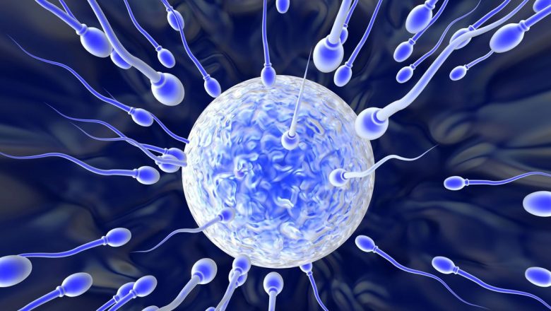 Gustul lichidului seminal: Un indicator surprinzător al sănătății masculine