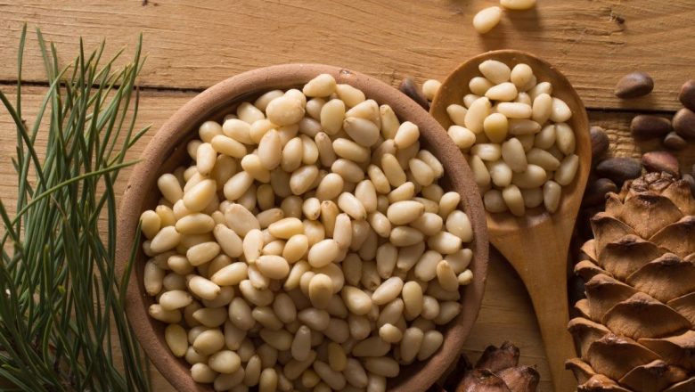 Beneficiile uimitoare ale mugurilor de pin: O resursă naturală pentru sănătate