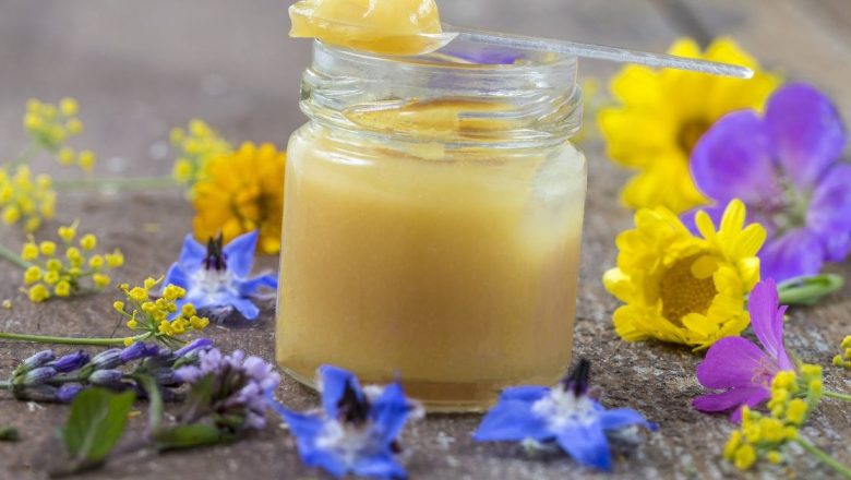 Beneficiile lăptișorului de matcă: O analiză detaliată a unui remediu din natură