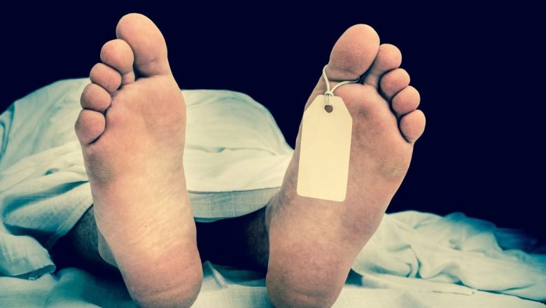 Ciclul Vieții: Înțelegerea Procesului de Descompunere a Corpului Uman după Moarte