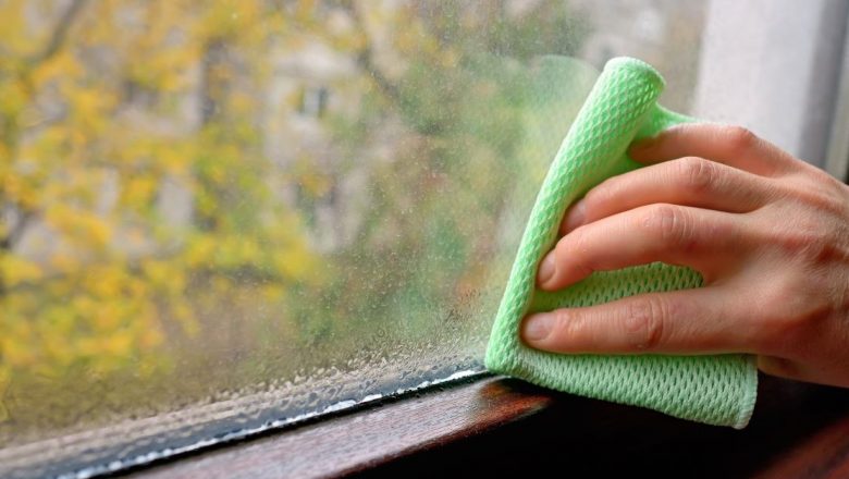 Importanța Umidității Optime în Locuință: Impactul Asupra Sănătății și Soluții Eficiente