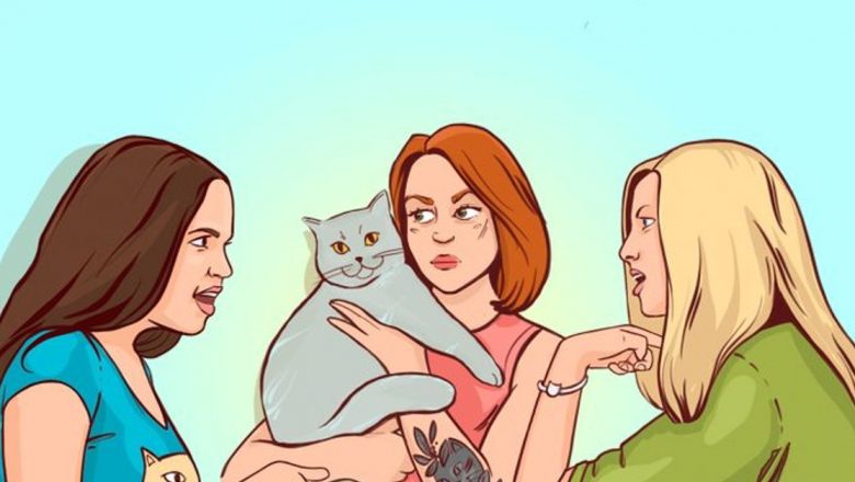 Testul IQ-ului prin imagini: O analiză a provocării de identificare a stăpânei pisicii