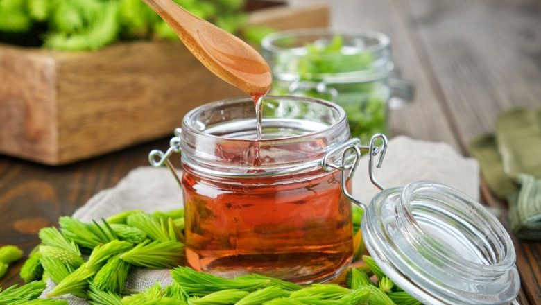 Puterea Vindecătoare a Bradului: Remedii Naturale pentru Răceli și Nu Nu Numai