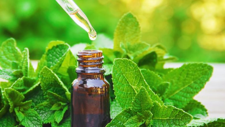 Beneficiile surprinzătoare ale mentei: O explorare a leacurilor naturale și a aplicațiilor lor terapeutice