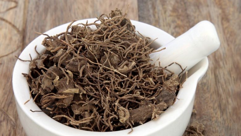 Cohoshul Negru: Soluția Naturală pentru Simptomele Menopauzei și Beneficiile Sale Uimitoare