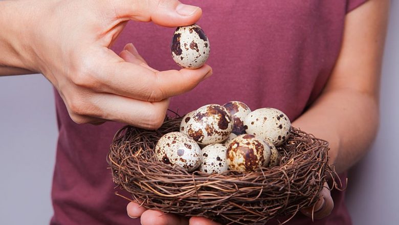 Ouăle de prepeliță: O alegere sănătoasă sau doar o modă culinară?