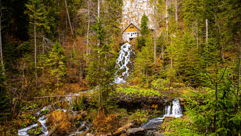 Cascada 7 Izvoare: O Comoară a Purității Apei în Inima Munților Bucegi