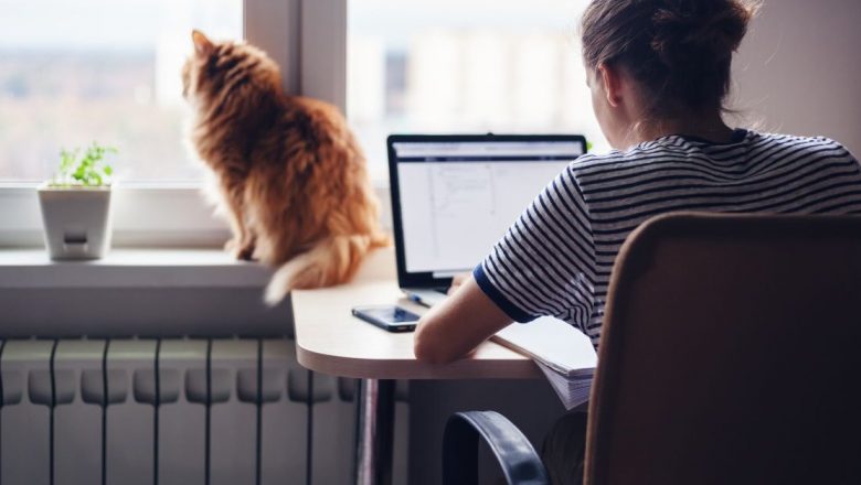 Impactul muncii de acasă asupra sănătății: Provocări și soluții în era digitală