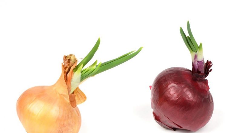 Ceapa încolțită: Este sigur să o consumi și ce implicații are pentru sănătatea ta?