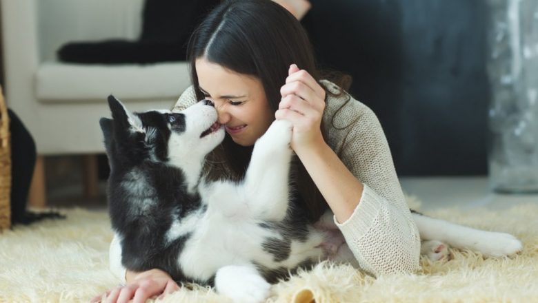 Rase de câini și zodii: Cum să alegi companionul perfect în funcție de semnul tău zodiacal