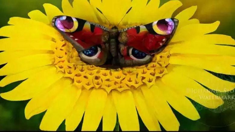 Iluzia Optică a Femeii Ascunse: Un Test de Observație și Percepție