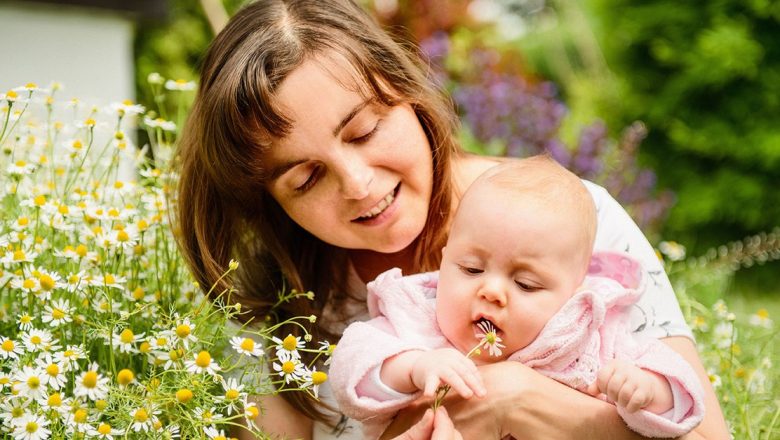 Muşeţelul: O Plantă Medicinală cu Virtuţi Terapeutice Extinse