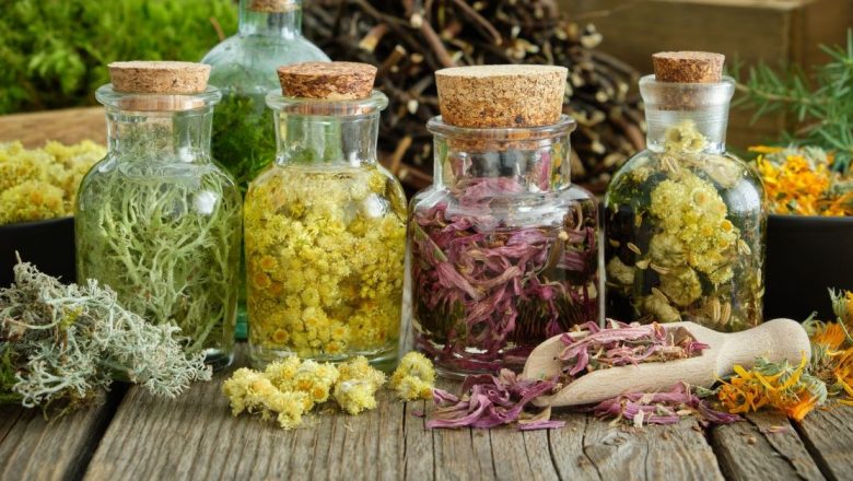 Maria Treben și Remediile Naturale: O Analiză Detaliată a Lecțiilor din Fitoterapia Tradițională
