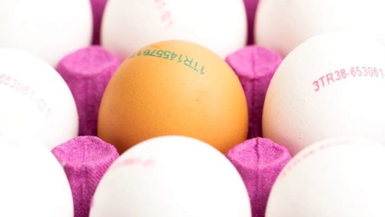 Diferențele dintre ouăle bej și cele albe: Sănătate, nutriție și alegeri conștiente