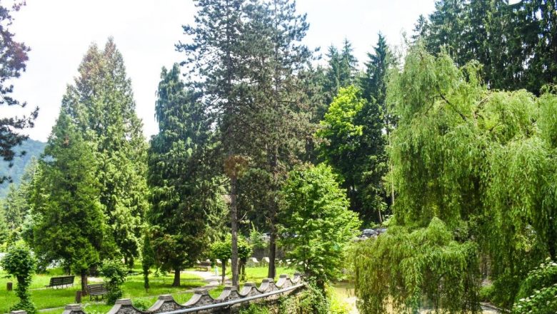 Băile Olănești: O Destinație Terapeutică pentru Alergii cu Izvoare Miraculoase