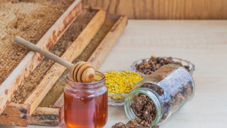 Părintele Elefterie și Leacurile Sale: O Analiză Detaliată a Vindecării prin Natură