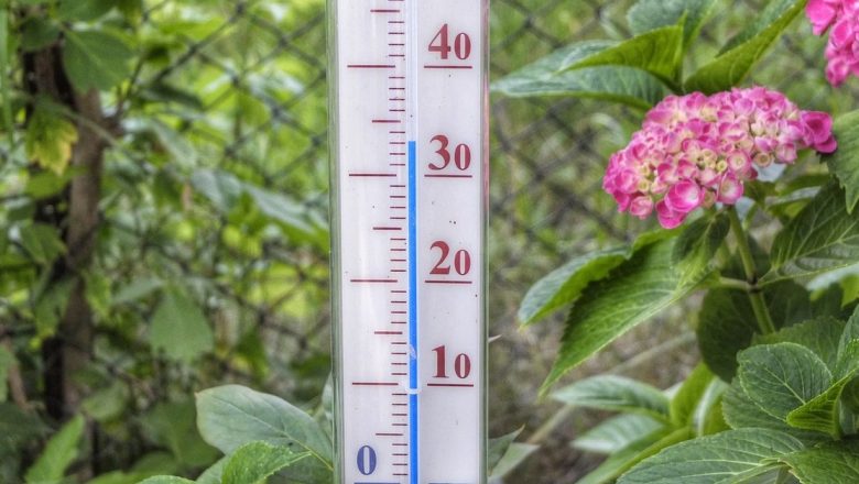 Alimentele și băuturile care contribuie la deshidratare: Ghid pentru zilele caniculare