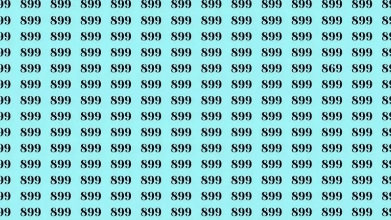 Provocarea iluziei optice: Ce ne spune testul numărului 869 despre percepția umană?