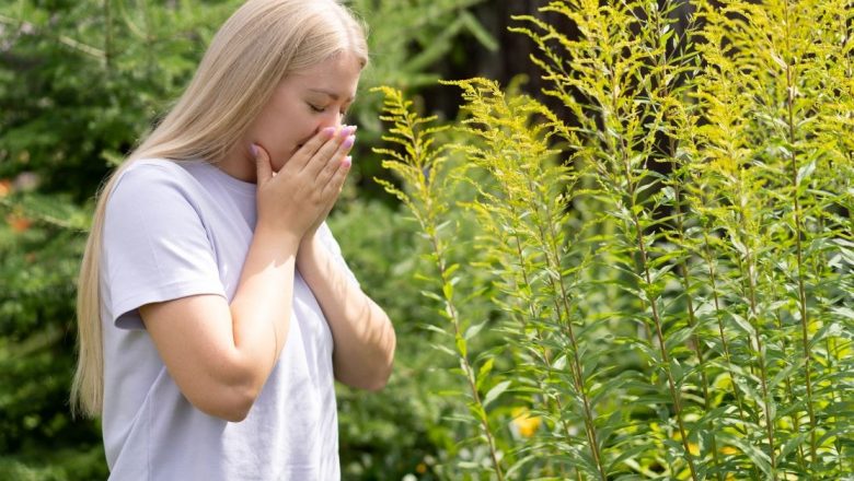 Alergia la ambrozie: Simptome, tratamente și strategii de prevenire