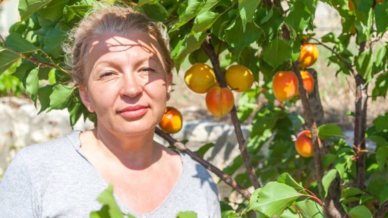 Sâmburii de caisă: O comoară pentru sănătate și frumusețe