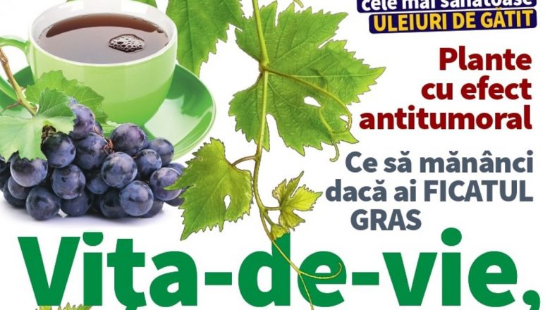 Descoperă Sănătatea: Analiza numărului de septembrie al revistei Click! Sănătate