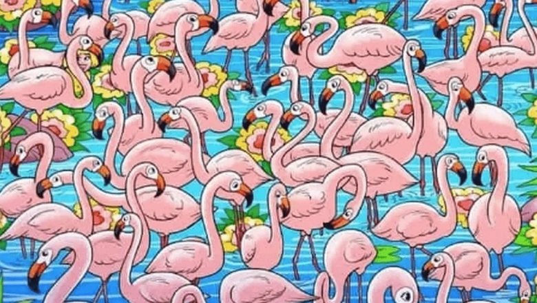 Provocarea iluziei optice: Descoperă intrusul din turma de flamingo și dezvăluie secretele vederii umane
