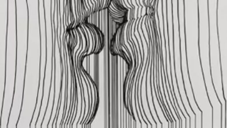Iluzia Optică: O Fereastră către Personalitatea Ta și Viitorul Tău