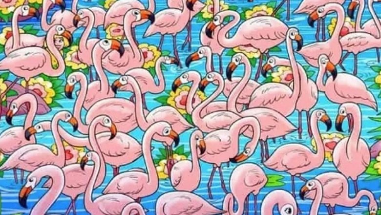 Provocarea Ochilor de Vultur: Cum Iluziile Optice Ne Testează Percepția și Creativitatea