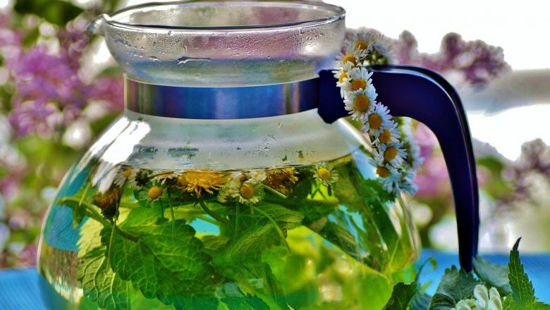 Amarantul: Planta Miraculoasă care Promite Să Previna Cancerul și Osteoporoza în Românii de Rând