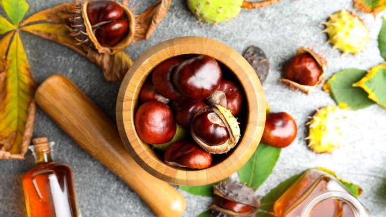 Castanele: Super-alimentele care îmbunătățesc sănătatea și bunăstarea noastră