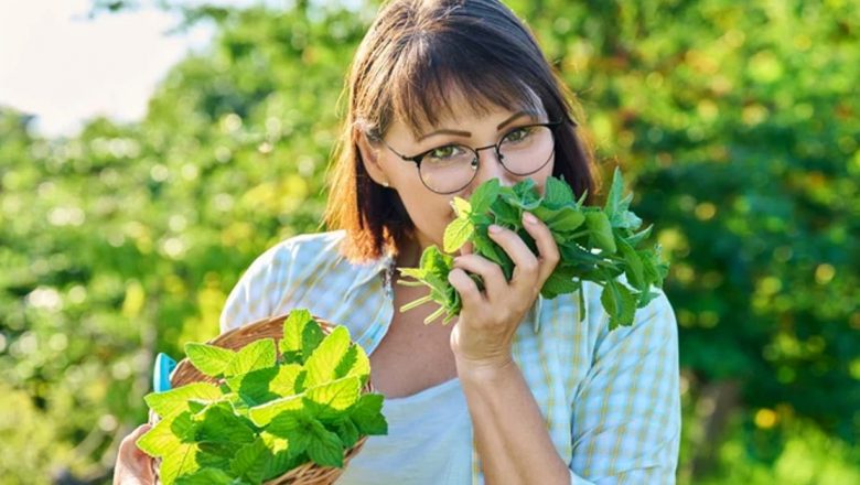 Ghimbirul: Remediul Natural Care Scapă de Greață și Întărește Organismul