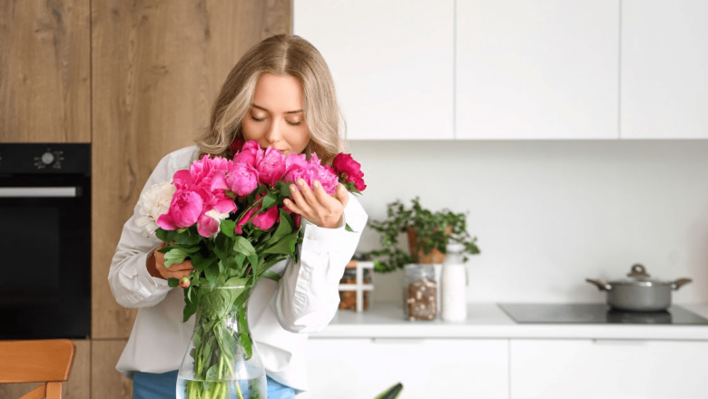 De la disfuncția erectilă la florile ofilite: Cum Viagra oferă o nouă viață plantelor