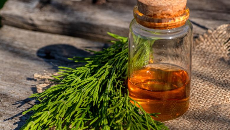 Coada-calului: Planta Minune Care Transformă Sănătatea Într-o Comoară Naturală