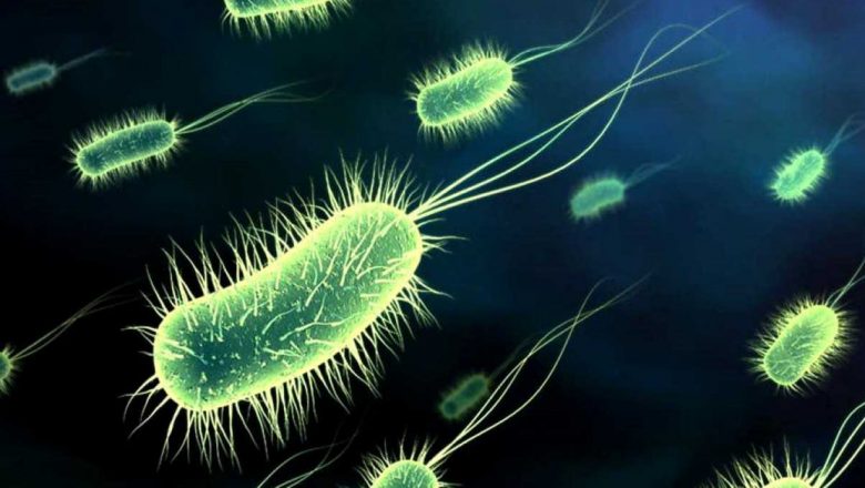 Detoxifierea Organismului: O Metodă Eficientă cu Ingrediente Bănuite