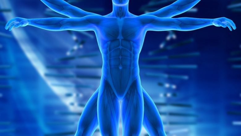 Pancreasul: Organ Esențial în Combaterea Bolilor Grase și a Cancerului