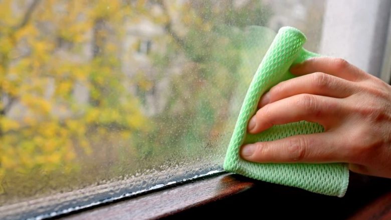 Plantele care combat condensul pe geamuri: Soluții naturale pentru un mediu mai sănătos în locuința ta