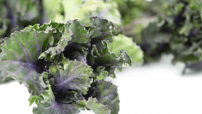 Kalettes: Descoperirea unei Legume Exotice în România și Impactul Său Asupra Agriculturii Locale