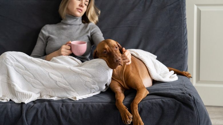 Efectele Somnului alături de Animalul de Companie: Avantaje, Dezavantaje și Perspective de Expert