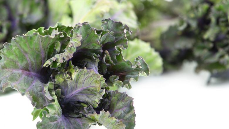 Kalettes: Noua Legumă Exotică care Cucerește România